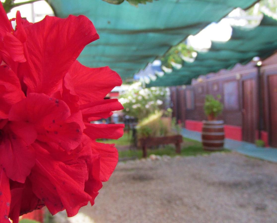 Hostal Del Suri กาฟายาเต ภายนอก รูปภาพ